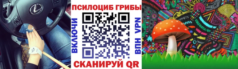 Псилоцибиновые грибы Psilocybe  Лагань 